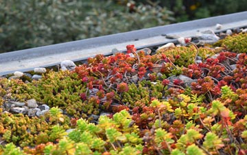 the cost of Bridge Of Weir green roof installation