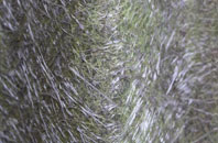 Bridge Of Weir fibreglass roof work